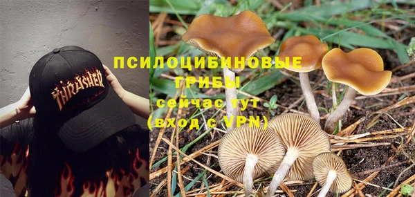 кокаин колумбия Алексин