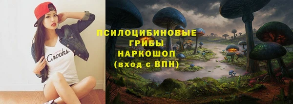 МДМА Алексеевка
