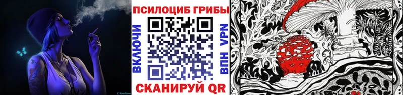 Псилоцибиновые грибы мицелий  купить наркотик  Звенигово 